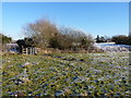 Footpath, gate and Hill Croft Farm in WV4 4UY