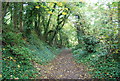 Woodland path near Otford Station in TN14 5RL