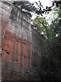 The quarried cliff face in SY4 1DE