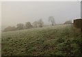 Mist and frost, Sock Hill in EX16 4NU
