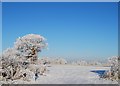 Winter near Great Bridgeford in ST18 9WF