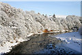 The River Tweed from Redbridge Viaduct in TD1 3HJ