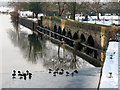 Newark: ducks on the ice at Longstone Bridge in NG24 4UD