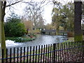 The bridge over the boating lake in Regent's Park in NW1 4RB