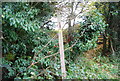 Footpath off Henley's Hill in TN33 9NZ