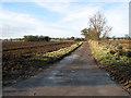 Access road to Watt's Hall Farm in NR13 6AW
