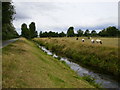 Man made narrow canal north of Leominster in HR6 8TE