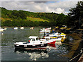 East Bank of the Looe River: Cornwall in PL13 2AF