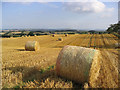 Harvest Bales in TD6 9HT