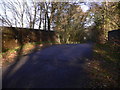 View north on Ingram's Green Lane from bridge over dismantled railway in GU29 0LJ