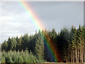 Rainbow against forestry in FK17 8JJ