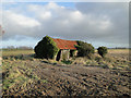 Tumbledown farm building in Mill Lane, Hemsby in NR29 4RB