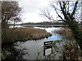 Filby Broad from the bridge looking north in Filby