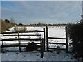 Footpath junction near Brickyard Farm in TN16 3AU