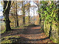Bridleway and Lane leading to Ambleside in LA22 0AJ