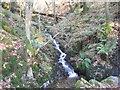 Stencher Beck, Skelghyll Wood near Ambleside in LA22 0AJ