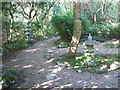 Path in the Japanese Garden, St Mawgan in TR8 4EU