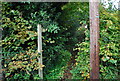 Footpath signpost at Motts Mill in TN3 9PE