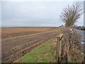 Stubble field alongside Dolly Lane in DL7 0PF