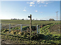Footpath alongside a ditch near Cookley Green in IP19 0LJ
