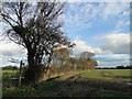 Footpath along the edge of a field in Wenhaston with Mells Hamlet