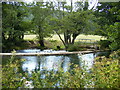 The weir on the River Lugg near Aymestrey in HR6 9UT