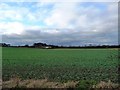 Arable land between Water Lane and Potwells Farm in WF8 4FB