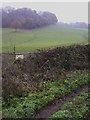 Fields and woodland near Bramley in GU5 0DB