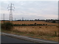 Field and Power Lines in WF3 3UH