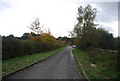Rosemary Lane looking south in TN5 7QG