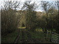 Footpath junction on the byway in Stony Lane Wood in CT15 7HN