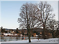 Bare trees by the wintry Tay in PH1 5RW