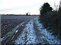 Frozen track, Terrington St Clement, Norfolk in PE34 4DU