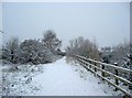 Leapgate Country Park in snow in DY13 9AF