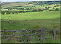 Farmland near Wark in NE48 3QE