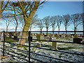 Easington Cemetery on Humber Side Lane in HU12 0TS