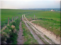 Farm track on Cherhill Down in SN11 8XY