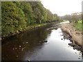 River Ribble, Paythorne in Newsholme
