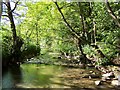 Tranquille river in BS16 1SS