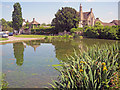Village pond at Biddestone in SN14 7DG