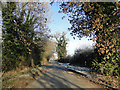 Country road near Britton's Farm in NR18 0SB