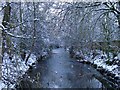 Beverley Brook by Palewell Common, in snow in SW14 8RE