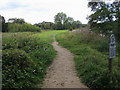 Thames Path in RG8 7LH