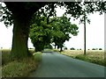 Country lane leading to Little Maplestead, Essex in CO9 2RR