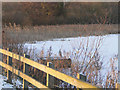 Heron on a frozen Ormesby Broad in NR29 3LT