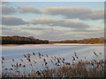 Ormesby Broad frozen over in NR29 3LT
