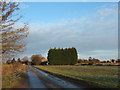 Looking towards Ivy Farm, Hay Green, Norfolk in PE34 4PX