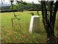 Triangulation pillar, Dionscourt Hill in SY8 4JL