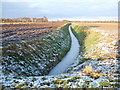 Frozen dike, Bullock Road, Hay Green, Norfolk in Shepherds' Gate