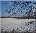 Snowscape north of Adlington in Poynton West and Adlington Ward